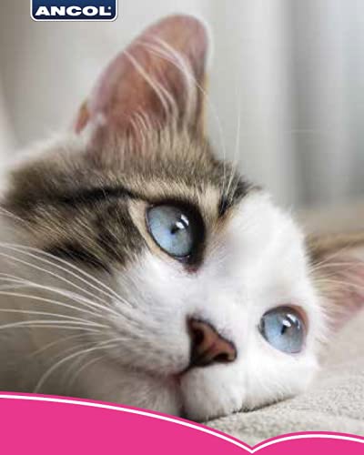 Ancol Grey Stripe Cat Feeding Mat - PawsPlanet Australia