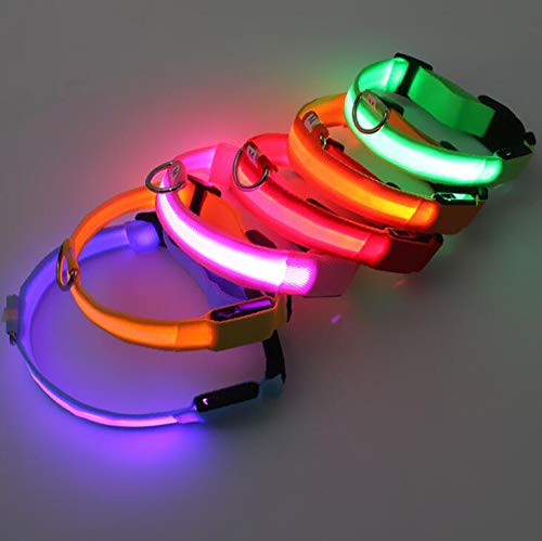 LED Dog Collar Rechargeable Lighted Dog Collar Adjustable 3 Flashing Modes 10 Hours Working Time Dog Safety Reflective Collar Green S (12.6-15.7"/ 32-40cm) - PawsPlanet Australia