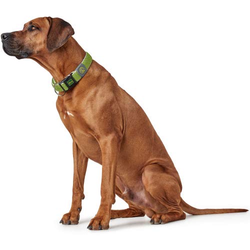 Hunter - Hilo Collar Vario Plus Neck 40-60cm L Lima Lime Large - PawsPlanet Australia