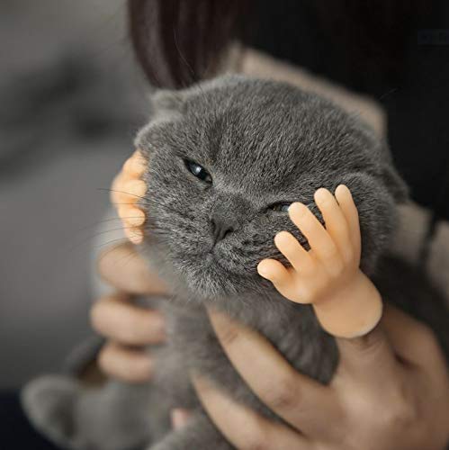 Allogrooming Tiny Cat Massage Hand Finger Puppets, Unique Pet petting Hand, Massage Hand for Cat and Dogs, Gentle and Loving Tiny Massage Hands, Give your cat and dog back scratch and massage (1 Pair) - PawsPlanet Australia