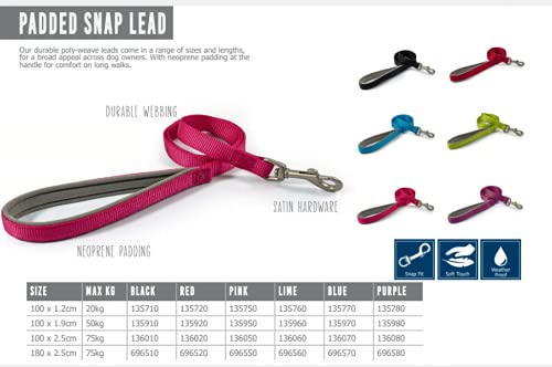 Ancol Viva Soft Touch Padded Snap Lead Red, Size 100 x 1.2 cm, Max kg 20 kg, Weather Proof 1m x 12 mm - PawsPlanet Australia