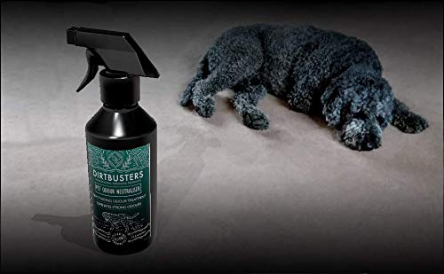 Dirtbusters pet Carpet and Upholstery Odour and Urine Eliminator deodoriser neutraliser Wild fig and Cassis Fragrance 500ml - PawsPlanet Australia