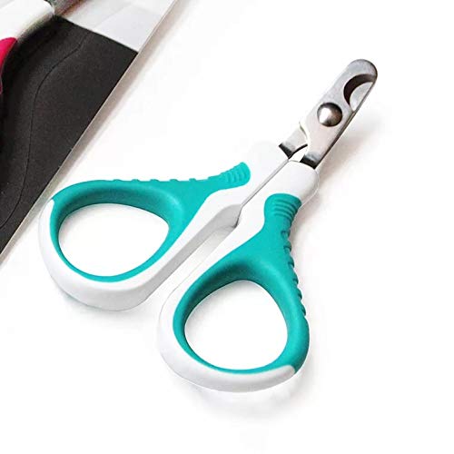 [Australia] - Professional Pet Nail Clippers for Small Animals - Best Cat Nail Clippers & Claw Trimmer Kit - Perfect Grooming Tool for Cat Small Medium Dog Bunny Rabbit Bird Puppy Kitten Ferret Blue Curved Blade 