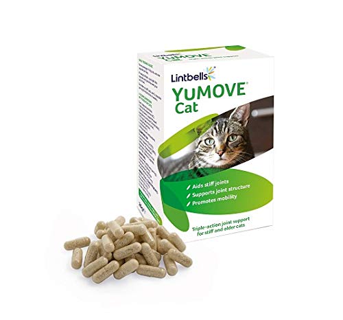 Lintbells | YuMOVE Cat | Hip and Joint Supplement for Stiff Cats | 60 Capsules & YuDERM Moulting Cat Formerly YuMEGA | Coat and Skin Supplement for Cats with Dry or Dull Coats | 50 ml Bottle - PawsPlanet Australia