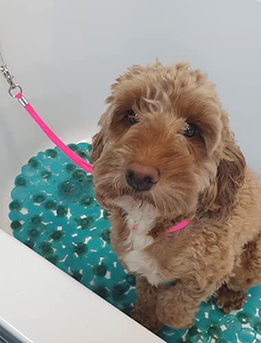 Periflowin Pet Dog Grooming Loop - Pet Bathing Tether Straps Heavy Duty Nylon Restraint Noose for Pet Bathing - 4 Pack pale green - PawsPlanet Australia