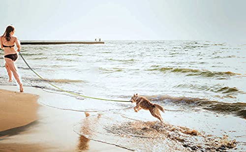 PETGOGO 15ft 20ft 30ft 40ft 50ft Long Dog/Puppy Lead Obedience Recall Training Dog Leashes for Small Medium Dogs Camping, Training, Play, or Backyard (15 FT, Black) 15 FT - PawsPlanet Australia