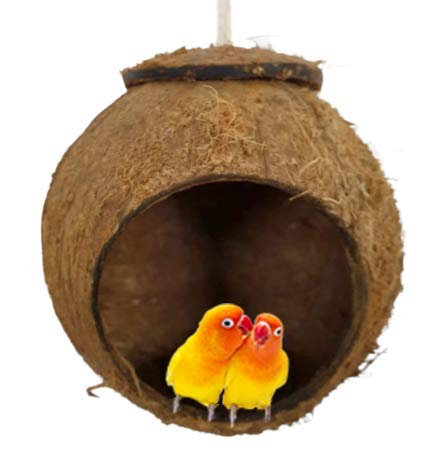 Coconut Shell Bird House Nest Hermit Crab Hideout Hideaway Cave Lizard Spiders Cockroach Fish Shrimp Parrot Parakeet Dove Hamster Mice BudgieAquarium - PawsPlanet Australia