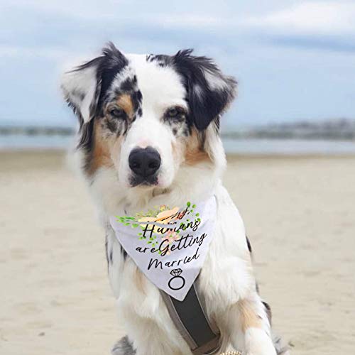 easycozy My Humans are Getting Wedding Married Dog Bandana，Pet Scarf Accessories,Pet Accessories for Dog Lovers - PawsPlanet Australia