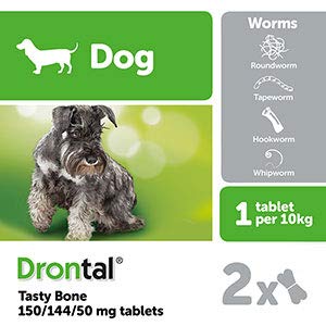 Bayer Drontal Worming Tablet for Dogs, Pack of 2 tablets - PawsPlanet Australia