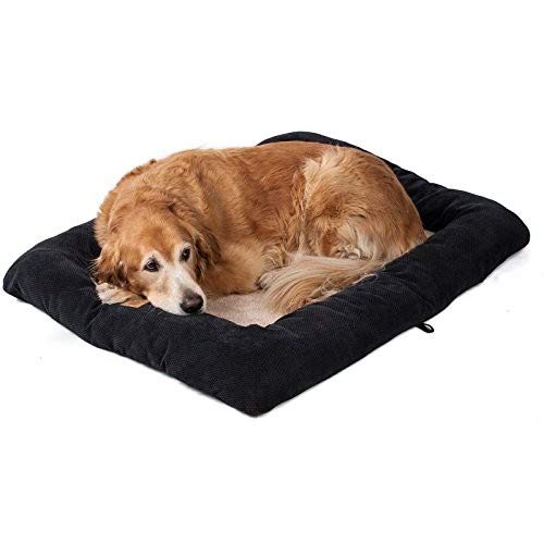 Precision Pet Up to 15 lbs Black - PawsPlanet Australia