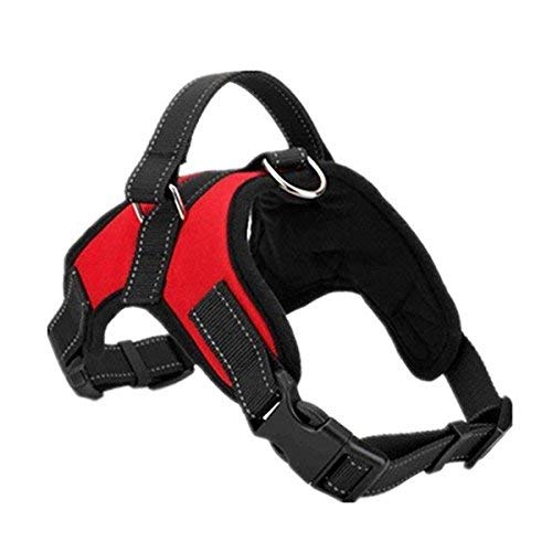 Pet Dog Harness No Pull Adjustable Pet Walking Harness Dog Body Vest Comfort Control for Dogs in Walking Training-Red-M-Chest 52-62cm Neck 49-56cm M - PawsPlanet Australia