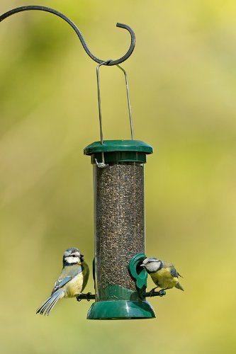 RSPB Premium Hanging Nyjer Seed Feeder, Easy Clean, Aluminium, 9-inch, bird seed niger feeder. supporting RSPB charity. Wild bird, for use in gardens & outdoors pouches 9 inch - PawsPlanet Australia