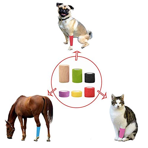 Deolven Self-Adhesive Bandage, 6 Rolls Colorful Self-Adhesive Bandage Ankle Elastic Boxes Adhesive Bandage Gauze Bandages Bandages Bandage Material (Red/Yellow/Purple/Green/Black/Skin Color) - PawsPlanet Australia
