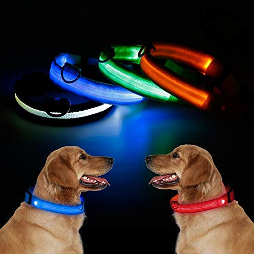 LED Dog/Cat Collar Flashing Light Up Collar 100% Waterproof Safety Adjustable Pets Collar Increased Visibility Super Bright for Small Medium Large Dog L (41cm-52cm), Blue L (41cm-52cm) - PawsPlanet Australia
