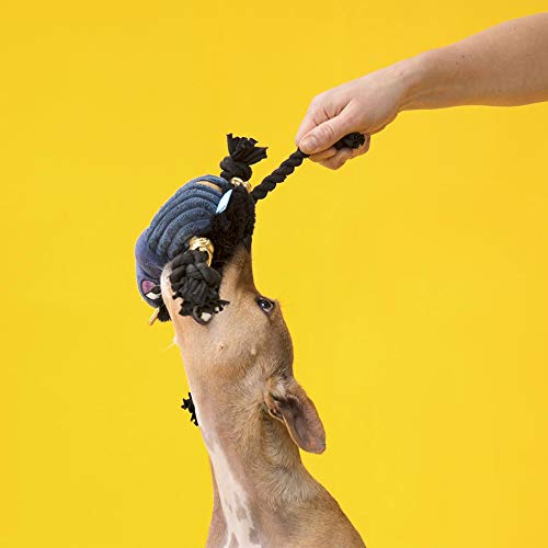 [Australia] - Barkbox Dog Rope Toys | Durable Plush Toys for Active Chewers | Tough Tug and Fetch Toys for Small/Medium/Large Dogs Black and Blue Beetle Medium/Large Dog 
