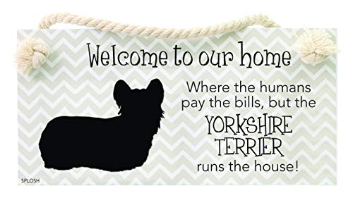 Splosh Precious Pet Dog Plaque and Dog Lead Hook Pack, Yorkshire Terrier. The funny signs are a personalised mini addition to any dog lovers home, and a welcomed accessory for all dogs. - PawsPlanet Australia