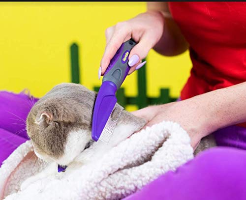 Hertzko Flea Comb for Dogs and Cats – Closely Spaced Metal Pins Removes Fleas, Flea Eggs, And Debris from Your Pet’s Coat - Great for Short Hair Areas. - Long Handle for Extra Comfort! - PawsPlanet Australia