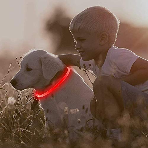 Edary LED Dog Collar with USB Rechargeable Glowing Pet Night Safety Collar Cuttable Reflective Light up Collars for Small Medium Large Dogs (Red) Red - PawsPlanet Australia