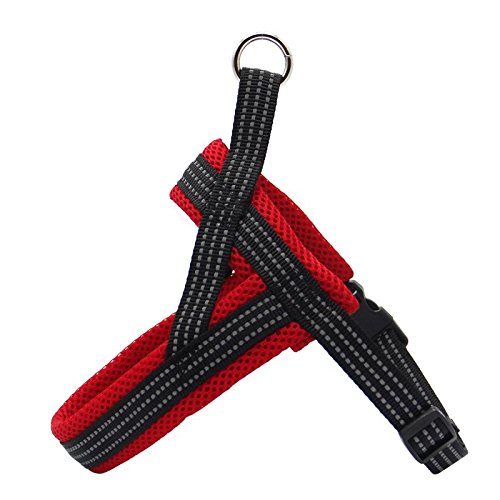 BPS® dog harness, adjustable, 4 sizes to choose from for small and medium-sized dogs, L red - PawsPlanet Australia