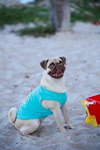Parisian Pet Life's a Beach! T-Shirt, XX-Small - PawsPlanet Australia