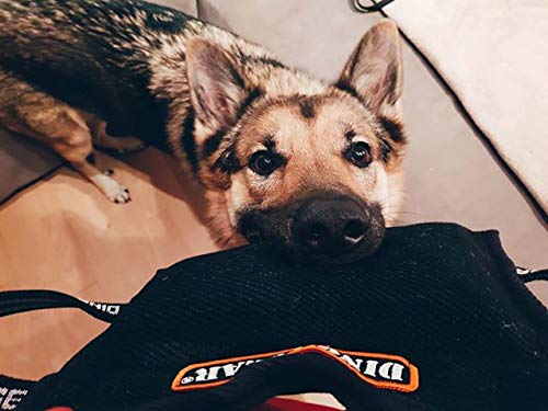 DINGO GEAR Dog Bite Pillow Handmade Wedge with 3 Handles for Training Medium Soft Nylcot, Red S00526 BLACK - PawsPlanet Australia