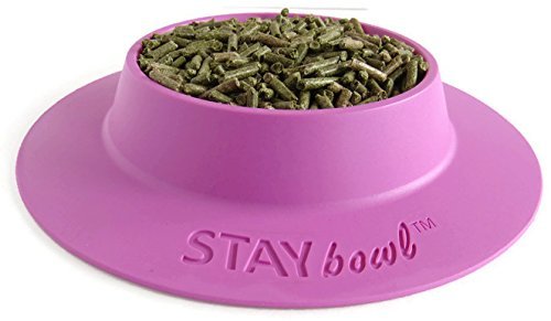 [Australia] - STAYbowl Tip-Proof Bowl for Guinea Pigs and Other Small Pets - Lilac (Purple) - Large 3/4 Cup Size New 