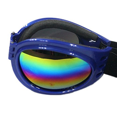 [Australia] - QUMY Dog Goggles Eye Wear Protection Waterproof Pet Sunglasses for Dogs About Over 15 lbs Blue 