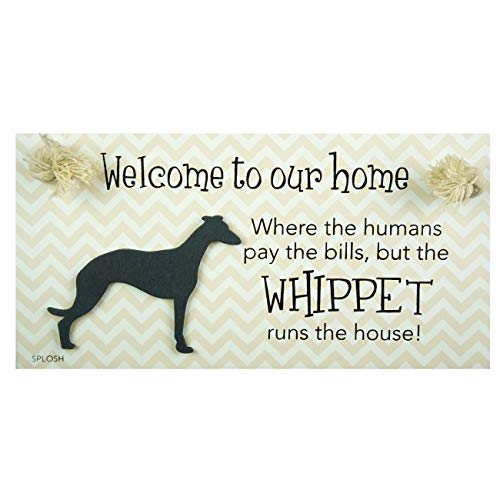 Splosh Precious Pet Dog Plaque and Dog Lead Hook Pack, Whippet. The funny signs are a personalised mini addition to any dog lovers home, and a welcomed accessory for all dogs. - PawsPlanet Australia