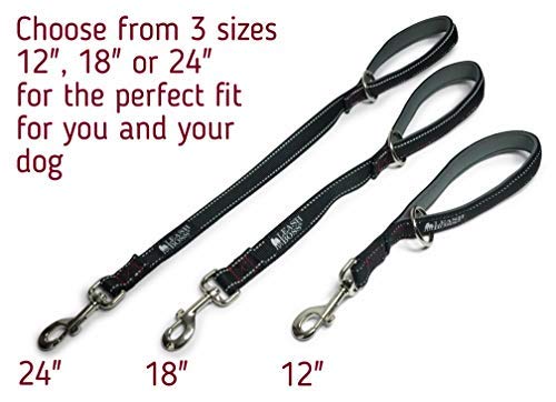 [Australia] - Leashboss Short Dog Leash with Padded Handle - 12, 18 and 24 Inch Reflective Leads with O-Ring - 1 Inch Wide Nylon for Training Medium and Large Dogs Black Reflective 12 Inch 