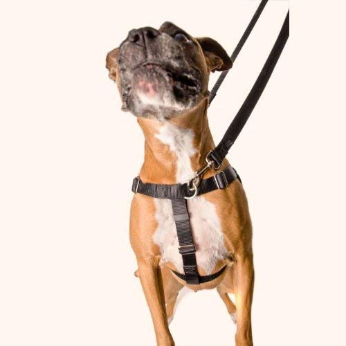 [Australia] - 2 Hounds Design Freedom No-Pull Dog Harness Training Package, Large, Green 