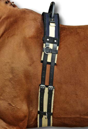 HKM SPORTS EQUIPMENT 17956925.1347 1795 Lunging Belt with Grab Handle, Canvas Pony Shetty VB/WB - PawsPlanet Australia