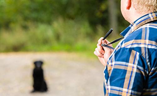 TRUUW Dog Training Whistles in black with lanyard (Black) Ideal for dog behavioural training | Standardised frequency | Loud and far-reaching for pet recall - PawsPlanet Australia