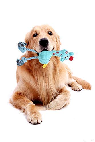 Xqpetlihai Dog Plush Squeaky Toys for Puppy Dog and Medium Dogs Chewing Teeth Health Dog Interactive Chew Toys Tails Plush Durable Toys (Blue) BLUE - PawsPlanet Australia