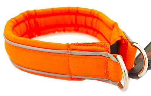 Non-Stop Dogwear Non-Stop Safe, 50 (EU) 50 (EU) - PawsPlanet Australia