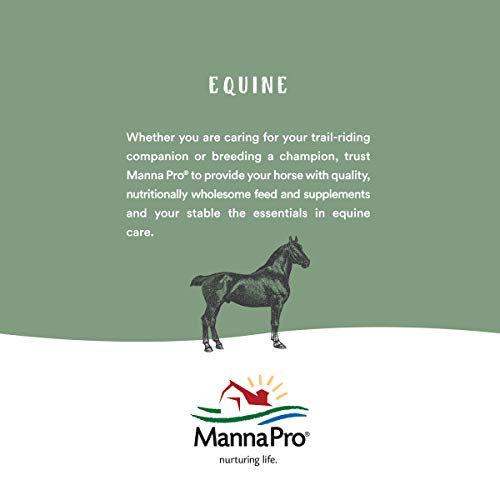 Manna Pro Equine Fat Supplement for Horses | High energy source | 4.5 Ltr - PawsPlanet Australia
