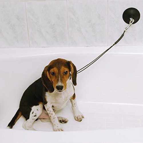 [Australia] - Pro Guard Stay-N-Wash Dog Grooming Tub Restraint and Pet Bathing Tether 