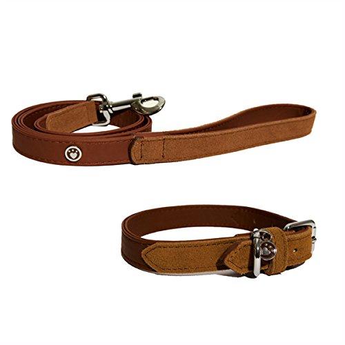 Rosewood Luxury Leather Dog Collar, 12-16inch, soft touch red - PawsPlanet Australia