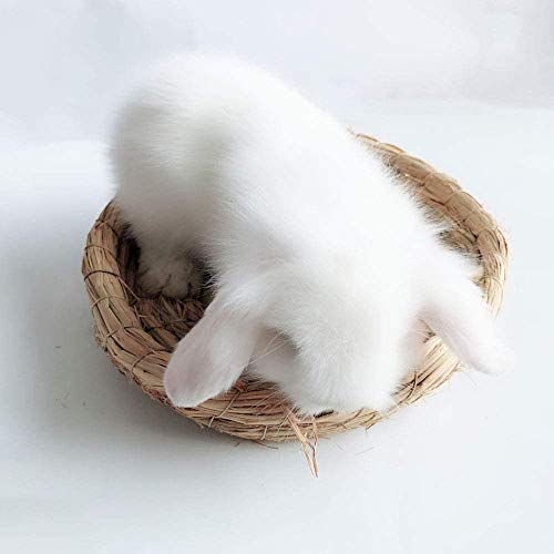 Bunny Grass Mat Woven Bed Mat,Rabbit Digging Hay Straw Resting Basket Bedding Nest,Fun Small Animals Play Balls Rolling Chew Toys Gnawing Treats for Guinea Pig Hamster Chinchilla Parrot (Rabbit love) Rabbit love - PawsPlanet Australia