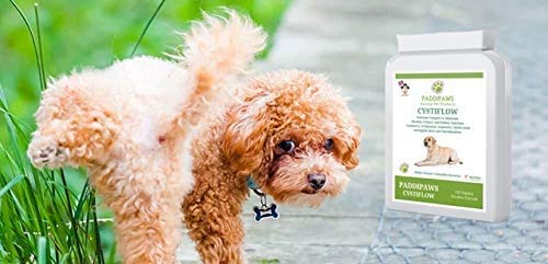 Cystiflow - Bladder Support For Dogs - UTI, Cystitis and Kidney problems — A Blend of 6 Nutrients - Specially formulated urinary tablets for dogs to maintain Healthy Urinary and Kidney Function - PawsPlanet Australia