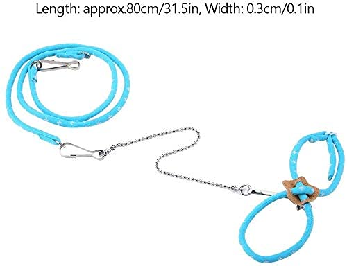 Hamster Harness and Leashes, Adjustable Anti-bite Chest Straps Small Animals Traction Rope for Rat Mouse Outdoor Travel(Blue) Blue - PawsPlanet Australia