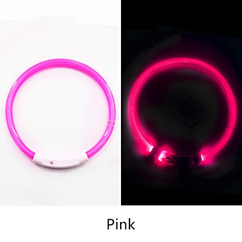 Jielucix Light up Dog Collar Led Dog Lights for Collars Flashing for the Dark USB Rechargeable for Large/Small Dogs (Blue and Pink) Blue and Pink - PawsPlanet Australia