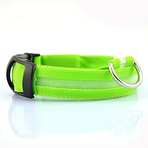 Alihoo LED Dog Collar, USB Rechargeable - Glowing Pet Dog Collar Night Safety, Suitable neck circumference 14’’-18’’ (Green) Green - PawsPlanet Australia