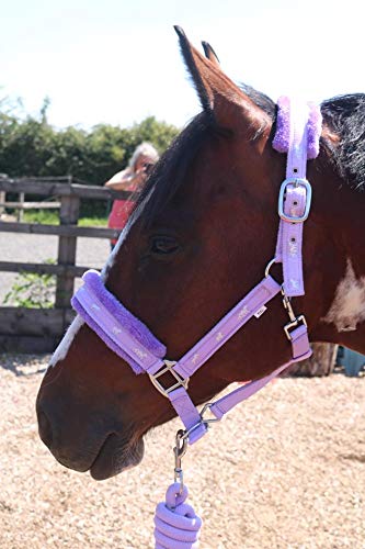 Equipride Horse Print Padded Nylon Headcollars with Matching Lead Rope Purple (Small Pony) Small Pony - PawsPlanet Australia