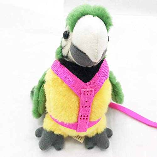 Adjustable Feather Tether Bird Harness and Leash for Parrot African Grey Cockatoo Macaw Training Outdoor Walk Rope (XS (black)) XS (black) - PawsPlanet Australia