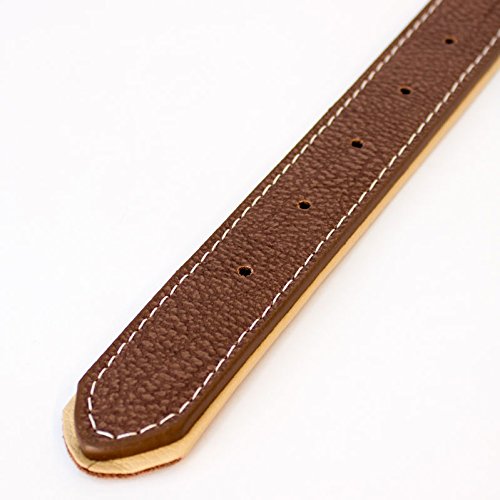 NEW Golden Retriever - Brown Dog Collar - Large & X-Large Size - (Large 40cm - 50cm / 15.7-19.7 inches) Large 40cm - 50cm / 15.7 - 19.7 inches - PawsPlanet Australia