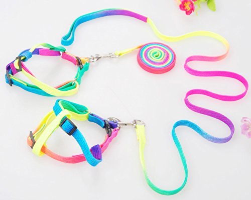 yueton Dog Pet Puppy Cat Kitty Adjustable Nylon Leash Rainbow Dog Chest Straps Chain Seven Color Traction Thoracic Dorsal Suits Dog Rope Dog's Leash Chain - PawsPlanet Australia
