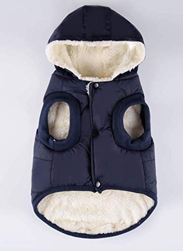 RC GearPro Dog Clothes Winter Cotton-Padded Jacket Hoodies Cat Puppy Cold Weather Coats Vest for Small Medium Large Dog (XL, Blue) XL - PawsPlanet Australia