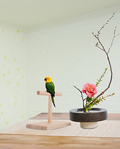 [Australia] - QBLEEV Bird Cage Stand Parrot Perch Training Stands Playstand Playgound Play Gym for Concures Parakeets Lovebirds Cockatiels bird training perch 