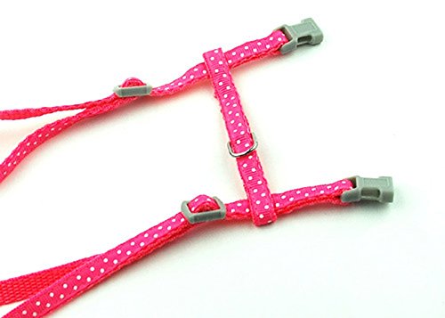 SMALLLEE_LUCKY_STORE Pet Cat Harness and Lead Leash Set Polka Dots Collar Chest Strap Adjustable Escape Proof Walking Training for Kitten Puppy Rabbit,Pink polka dots-pink - PawsPlanet Australia