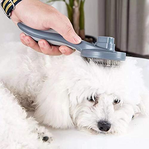 None Branded Send a cat comb to float a teddy dog comb for fleas to comb a large golden dog brush for dogs and cats (green) green - PawsPlanet Australia